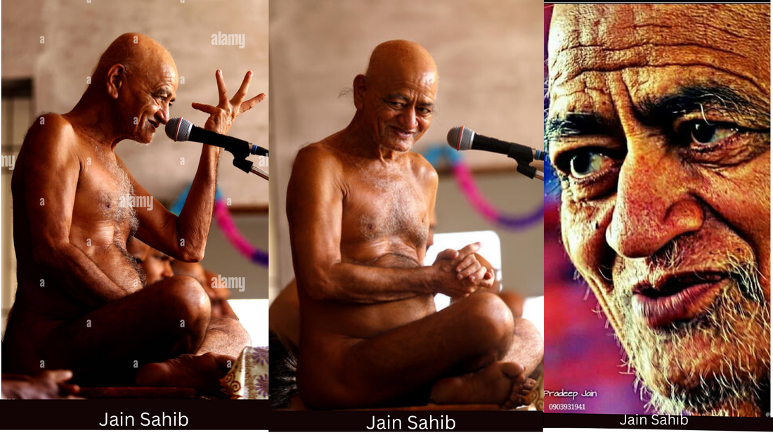 Aacharya Vidhya Sagar JI Maharaj